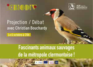 Fascinants animaux sauvages de la métropole clermontoise ! Projection / Débat avec Christian Bouchardy @ La Goguette