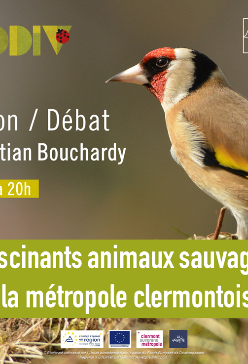 Fascinants animaux sauvages de la métropole clermontoise ! Projection / Débat avec Christian Bouchardy