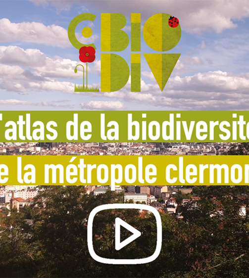 C.Biodiv : retour en images sur 3 ans d’actions pour la biodiversité !