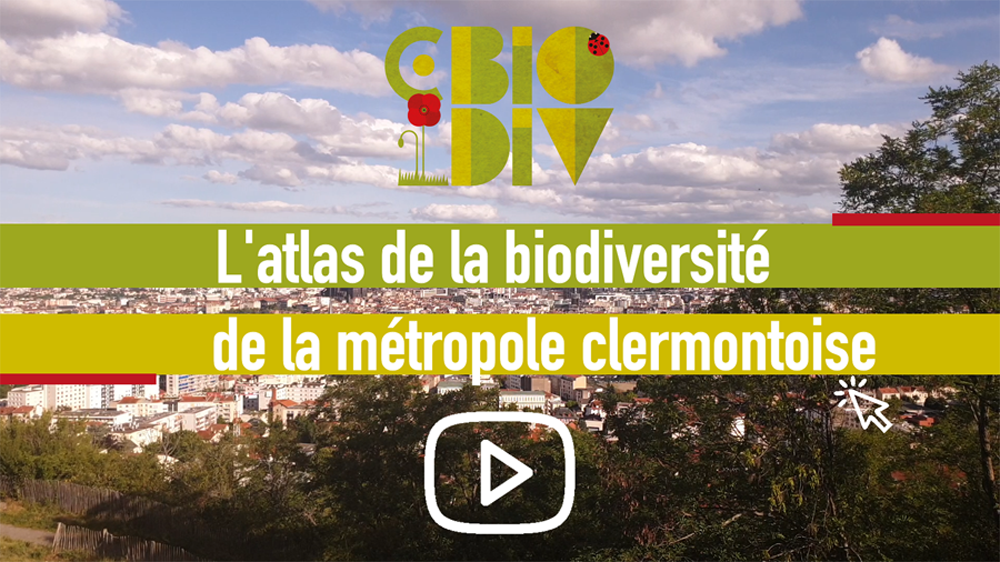 C.Biodiv : retour en images sur 3 ans d’actions pour la biodiversité !