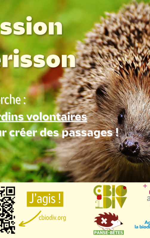 Cherche jardins volontaires avec piquants&nbsp;!
