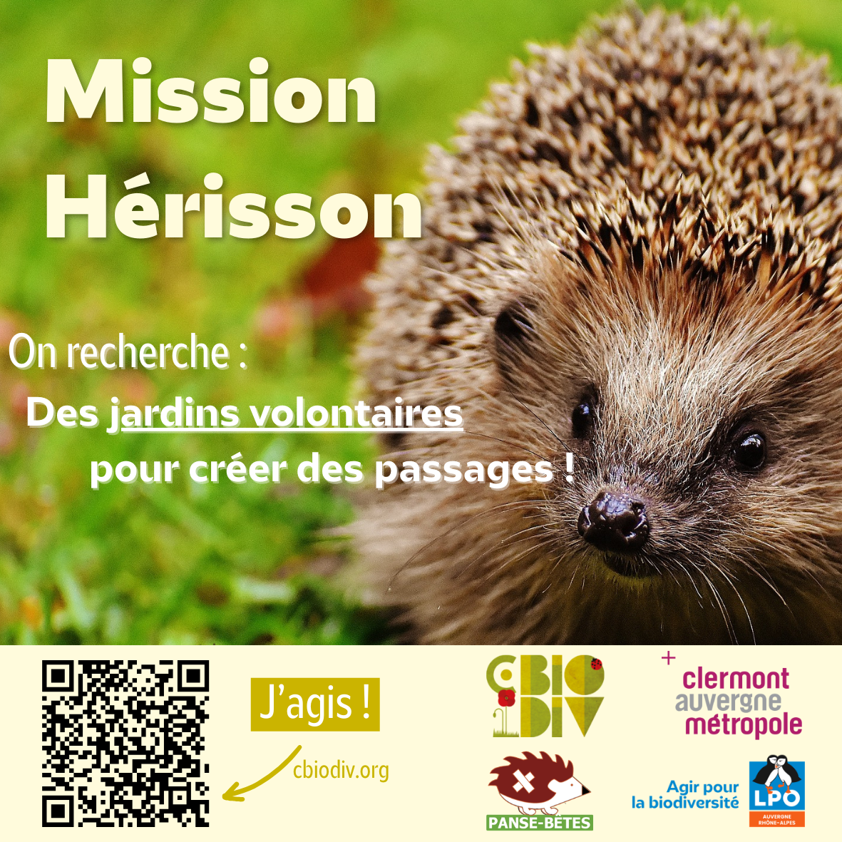 Cherche jardins volontaires avec piquants&nbsp;!